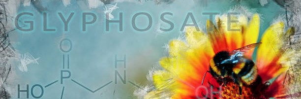 TLP pide que la Diputación deje de utilizar glifosato en las cunetas de las&nbsp;carreteras