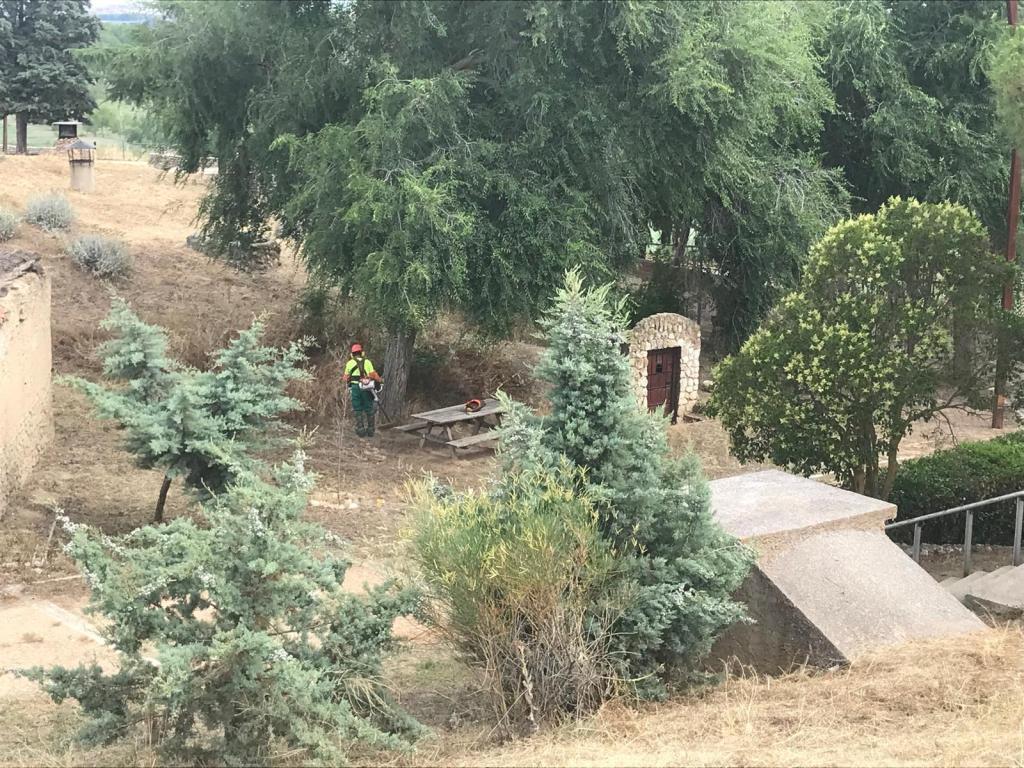 TLP pide que las cuadrillas forestales de la Diputación presten servicio durante todo el&nbsp;año