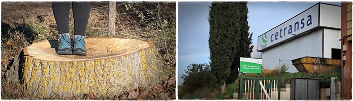 TLP preguntará en el pleno de Diputación por la tala de árboles en la reserva natural de Castronuño y la ampliación del vertedero de Santovenia