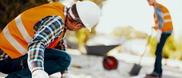 TLP pide a la Junta que cofinancie el Programa de Fomento del Empleo Agrario para ampliar el tiempo de contratación de los y las&nbsp;trabajadoras