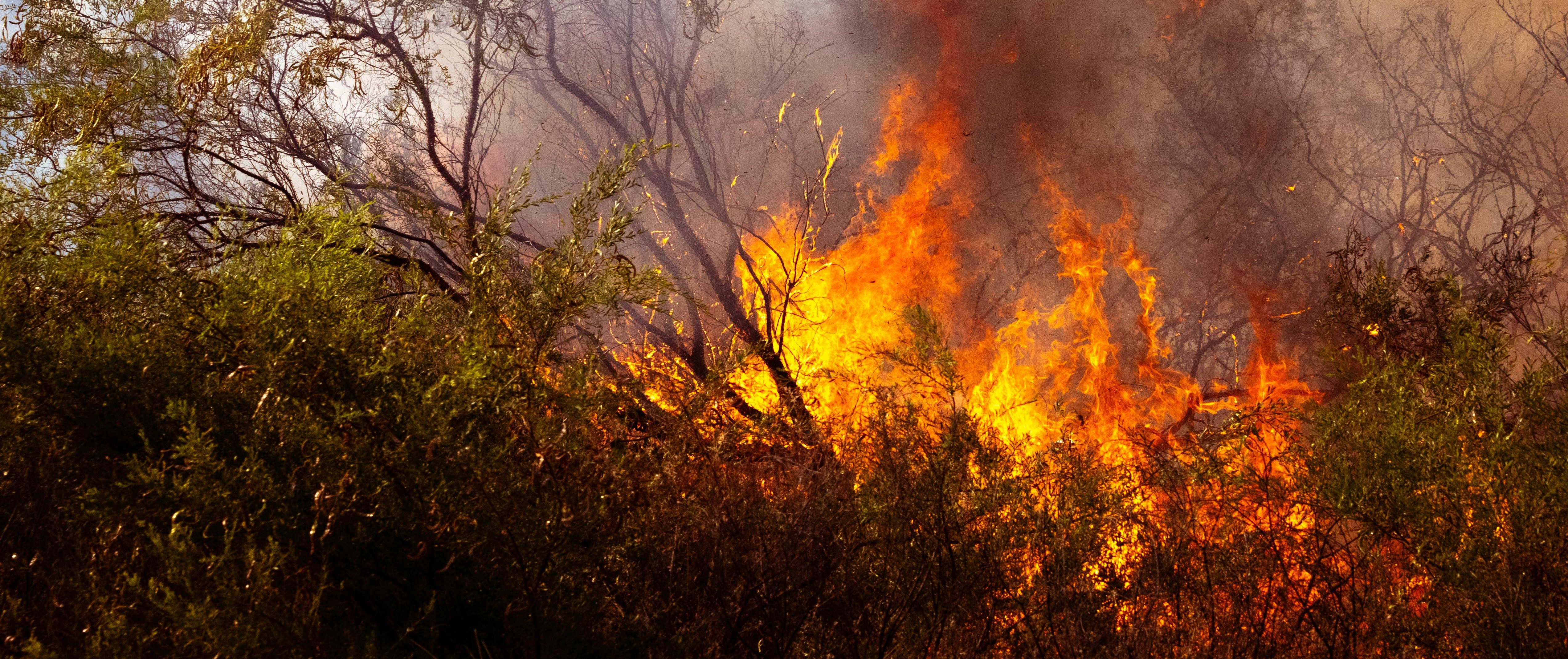 TLP pedirá a Diputación medidas para la prevención y extinción de incendios agrícolas y forestales