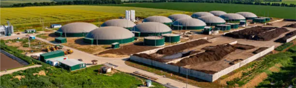 IU pide declarar Castronuño “municipio libre de macroplantas de biogás”