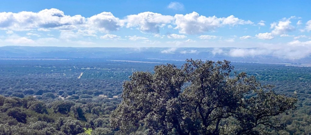 Izquierda Unida Castronuño insta al Ayuntamiento a elaborar un Plan Local de Emergencia ante Incendios&nbsp;Forestales